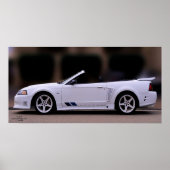 SALEEN MUSTANG POSTER (Devant)