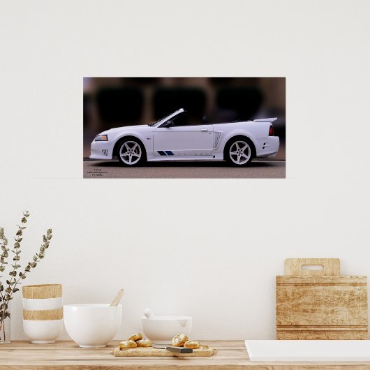 SALEEN MUSTANG POSTER (Cuisine)