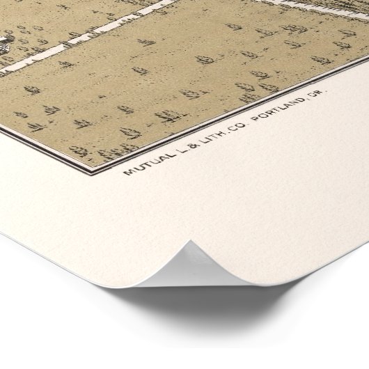 Salem, OR Panoramic Map - 1905 Poster (Hoek)