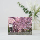 Salem Pink Blossom Briefkaart (Staand voorkant)