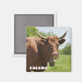 Salers koe magneet (Voorkant / Achterkant)