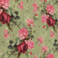 Salie Groen Antiek Rozen & Bloemen