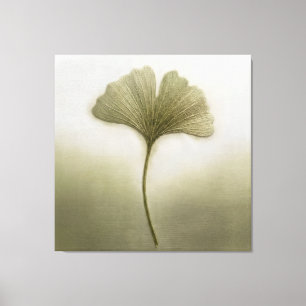 Salie Groene Ginkgo Blad Borduursteek Textuur Bota Canvas Afdruk