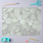 Salie tissuepapier, decoupage, botanisch groen tissuepapier (Craft)
