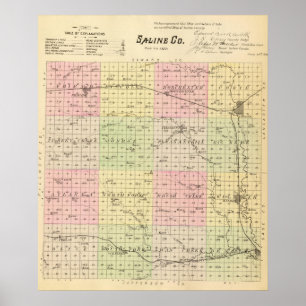 Saline County, Nebraska Poster