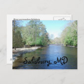 Salisbury Zoo, MD Briefkaart (Voorkant / Achterkant)