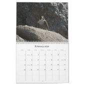 Salish Zee Wildlife 2012 Kalender (Feb 2026)