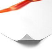 Sally Lightfoot Crab Poster (Hoek)