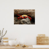 Sally Lightfoot Crab Poster (Keuken)