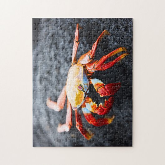 Sally lightfoot krab op een zwarte lavegrots legpuzzel (Verticaal)