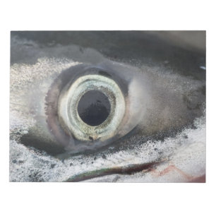 Salmon Eye Notitieblok