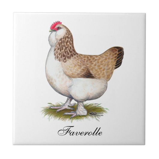 Salmon Faverolle Hen Tegeltje (Voorkant)