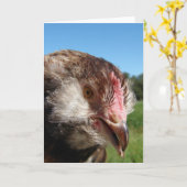 Salmon Faverolle Pullet Kaart (Gele Bloem)