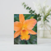 Salmon Orchid Briefkaart (Staand voorkant)