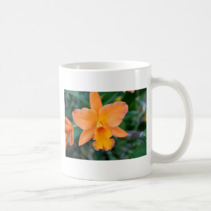 Salmon Orchid Koffiemok