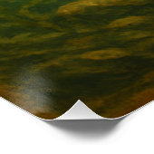 Salmon Poster Perfect Poster (Hoek)