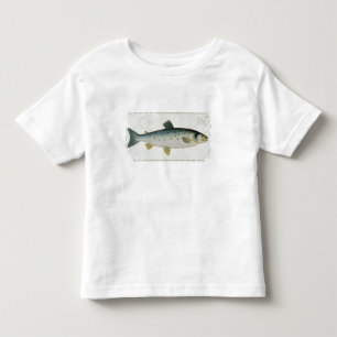 Salmon (Salmo Salar) bord XX uit Ichthyologie, Kinder Shirts