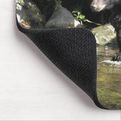 "Salmon Spotting" Muismat (Hoek)