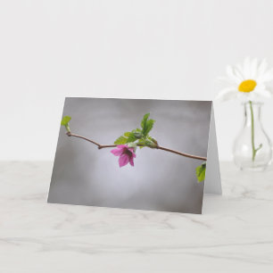 Salmonberry Blossom Frameable Art Kaart
