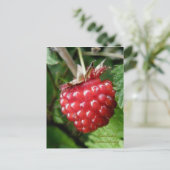 Salmonbes, eiland Unalaska Briefkaart (Staand voorkant)