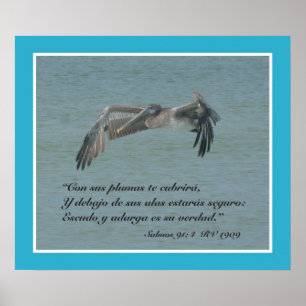 Salmos 91:4 con Pelicano Volando (kartel) Poster