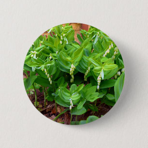 Salomons Seal Badge Ronde Button 5,7 Cm