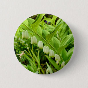Salomons Seal Badge Ronde Button 5,7 Cm
