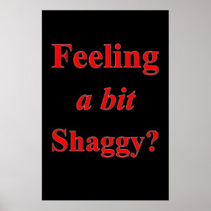 Salon Barbershop Posters die een beetje shaggy voe