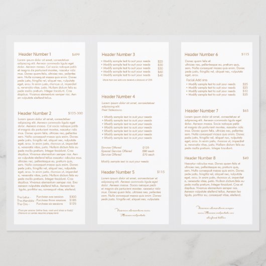 Salon de beauté gris clair Spa Brochure TriFold (Dos)