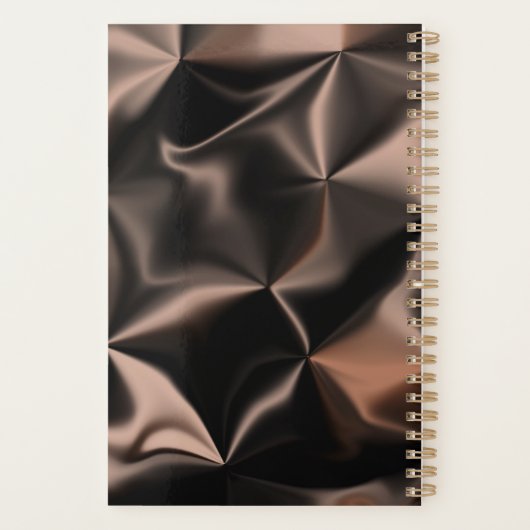 Salon moderne Beauty Cisor Gold Booking Brown (Dos)