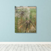 Salsify Graines dans la toile enrobée en champ (Insitu (Plancher de Bois))