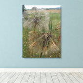 Salsify Graines dans la toile enrobée en champ (Insitu (Plancher de Bois))
