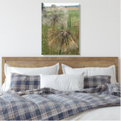 Salsify Graines dans la toile enrobée en champ (Insitu(Chambre))