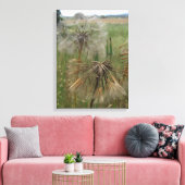 Salsify Graines dans la toile enrobée en champ (Insitu(Salon))