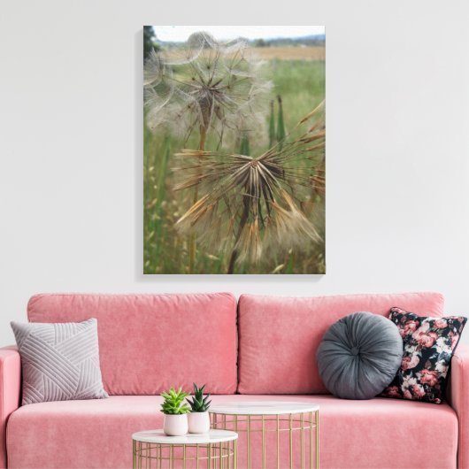 Salsify Graines dans la toile enrobée en champ (Insitu(Salon))