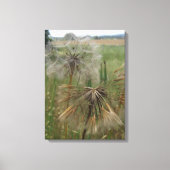 Salsify Graines dans la toile enrobée en champ (Recto)