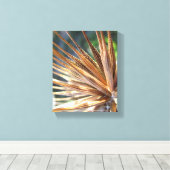 Salsify Spiky Seed Pod Canvas Afdruk (Insitu (Houten vloer))
