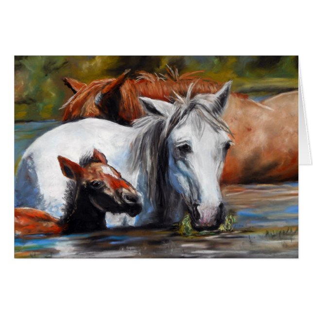Salt Foal (Voorkant Horizontaal)