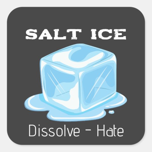 Salt Ice Sticker (Devant)
