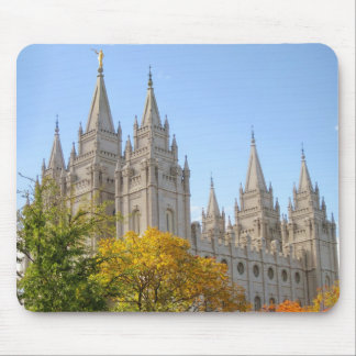 Salt Lake Temple Muismat