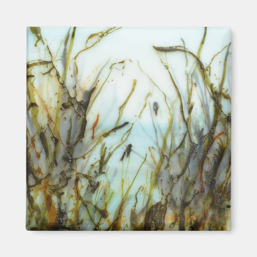 "Salt Marsh Morning" Magneet (Voorkant)
