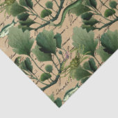 Salt Witch Grimore Serie Design 11 Tissuepapier (Detail)