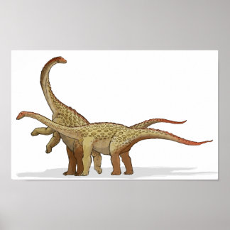 Saltasaurus - Cretacous Dinosaur Portfolio Poster