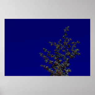 Saltbush Atriplex Leaf Natuur Minimalistisch Poste Poster