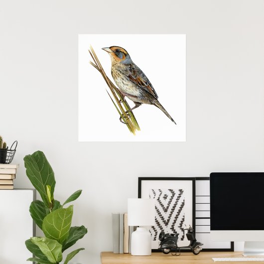 Saltmarsh Sparrow Poster (Bureau à domicile)