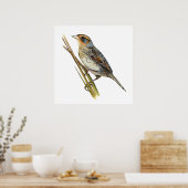 Saltmarsh Sparrow Poster (Cuisine)