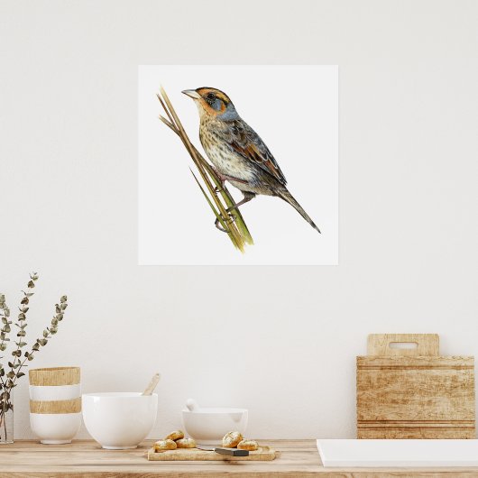 Saltmarsh Sparrow Poster (Keuken)