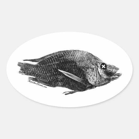 Salton Zee Dead Tilapia Ovale Sticker (Voorkant)