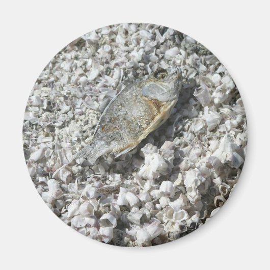 Salton Zee Magneet (Voorkant)