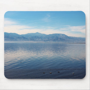 Salton Zee Muismat